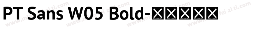 PT Sans W05 Bold字体转换